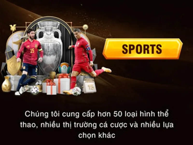 Hình ảnh cá cược thể thao 99win với sân bóng đá và rổ bóng rổ